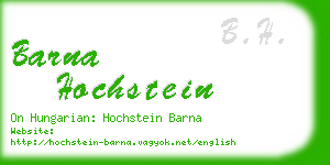 barna hochstein business card